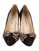 Manolo Blahnik Suede Bow Accents Pumps