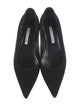 Manolo Blahnik Suede Pumps