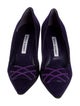 Manolo Blahnik Suede Pumps