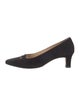 Manolo Blahnik Suede Pumps
