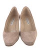 Manolo Blahnik Suede Pumps