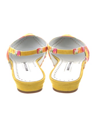 Manolo Blahnik Floral Print Slingback Flats