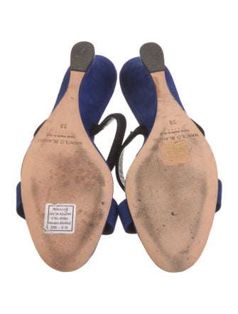 Manolo Blahnik Suede Slides