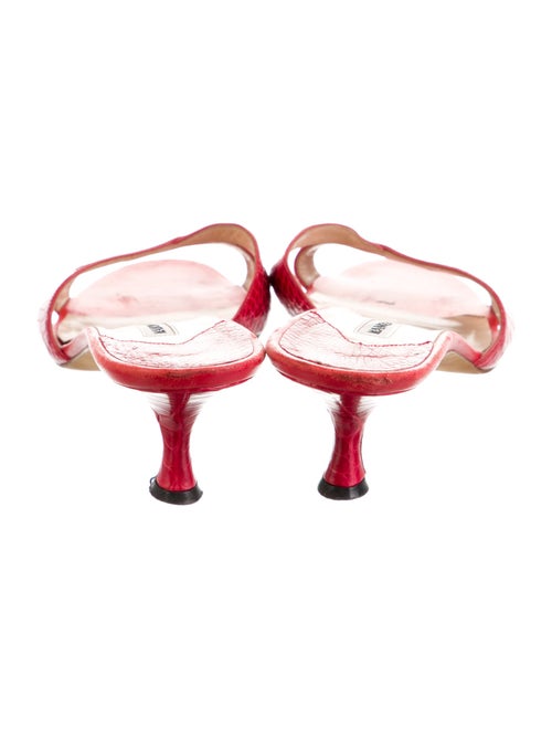 Manolo Blahnik Leather Animal Print Slides