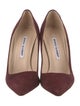 Manolo Blahnik Suede Pumps
