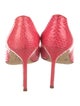 Manolo Blahnik Snakeskin Pumps