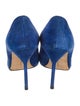 Manolo Blahnik Suede Pumps