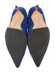 Manolo Blahnik Suede Pumps