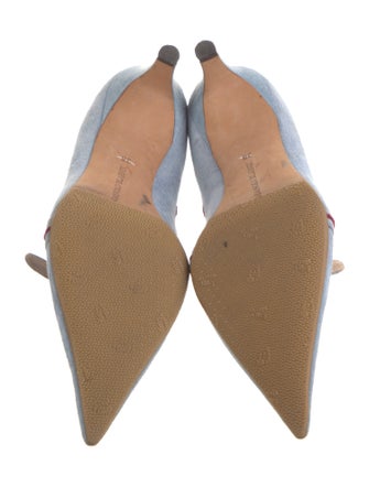 Manolo Blahnik Suede Pumps