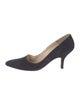 Manolo Blahnik Suede Pumps