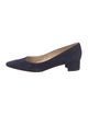 Manolo Blahnik Suede Pumps