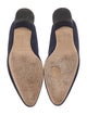 Manolo Blahnik Suede Pumps