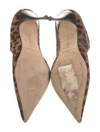 Manolo Blahnik Ponyhair Animal Print Pumps