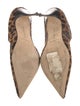 Manolo Blahnik Ponyhair Animal Print Pumps
