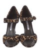 Manolo Blahnik Ponyhair Animal Print Sandals