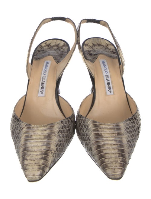 Manolo Blahnik Snakeskin Animal Print Slingback Pumps