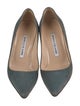 Manolo Blahnik Suede Pumps