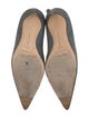 Manolo Blahnik Suede Pumps
