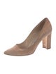 Manolo Blahnik Suede Pumps