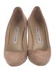 Manolo Blahnik Suede Pumps