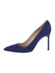 Manolo Blahnik Suede Pumps