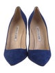 Manolo Blahnik Suede Pumps