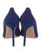 Manolo Blahnik Suede Pumps