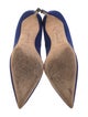 Manolo Blahnik Suede Pumps