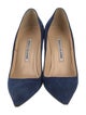 Manolo Blahnik Suede Pumps