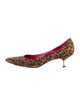 Manolo Blahnik Suede Animal Print Flats