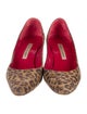 Manolo Blahnik Suede Animal Print Flats