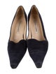 Manolo Blahnik Suede Pumps