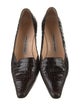 Manolo Blahnik Crocodile Animal Print Pumps