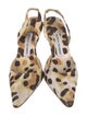 Manolo Blahnik Animal Print Slingback Pumps