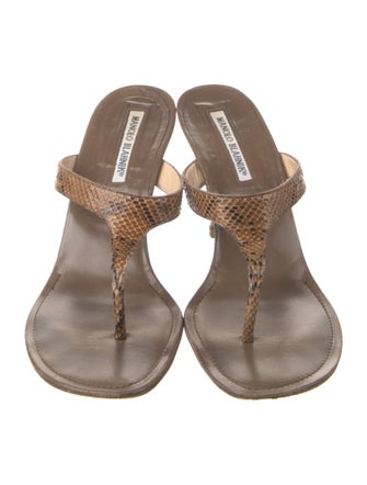 Manolo Blahnik Snakeskin Animal Print T-Strap Sandals