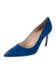 Manolo Blahnik Suede Pumps