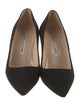 Manolo Blahnik Suede Pumps