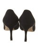 Manolo Blahnik Suede Pumps