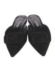 Manolo Blahnik Suede Mules