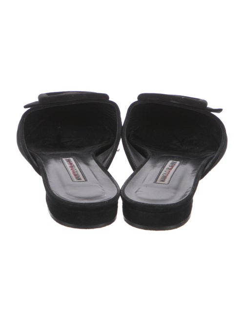 Manolo Blahnik Suede Mules