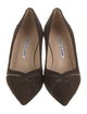 Manolo Blahnik Suede Pumps