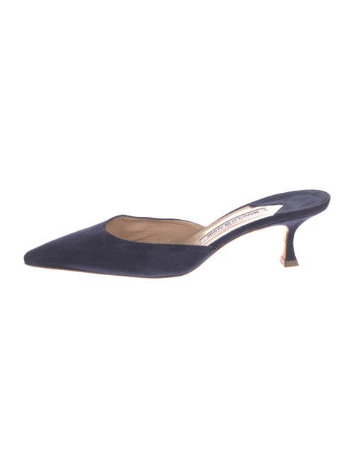 Manolo Blahnik Suede Mules