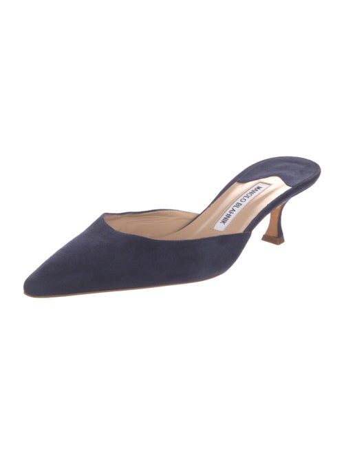 Manolo Blahnik Suede Mules