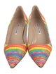 Manolo Blahnik Printed Pumps