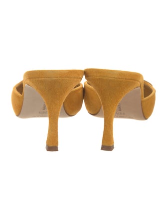 Manolo Blahnik Suede Mules