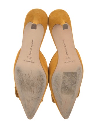 Manolo Blahnik Suede Mules