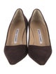 Manolo Blahnik Suede Pumps