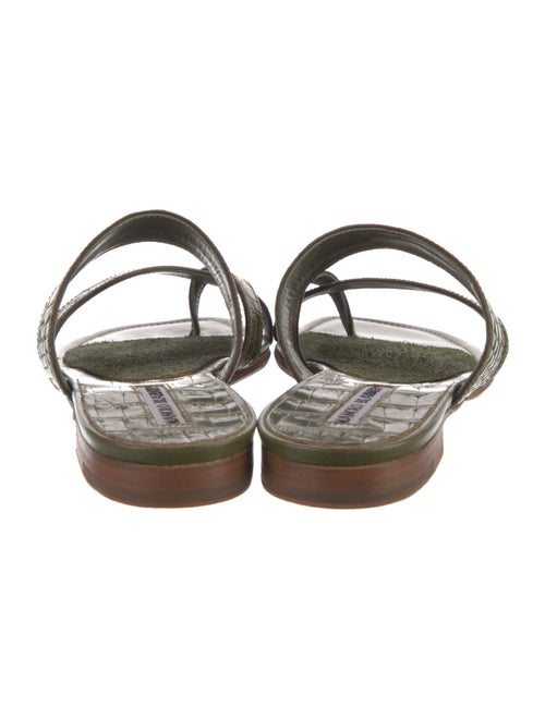 Manolo Blahnik Alligator Slides