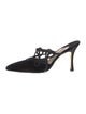 Manolo Blahnik Velvet Mules