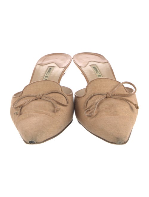 Manolo Blahnik Suede Mules